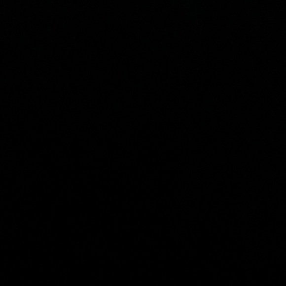 Gildan Other - Blank